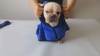 Vintage Dog Bathrobe